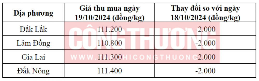 Tham khảo giá cà phê hôm nay ngày 19/10/2024 tại khu vực Tây Nguyên