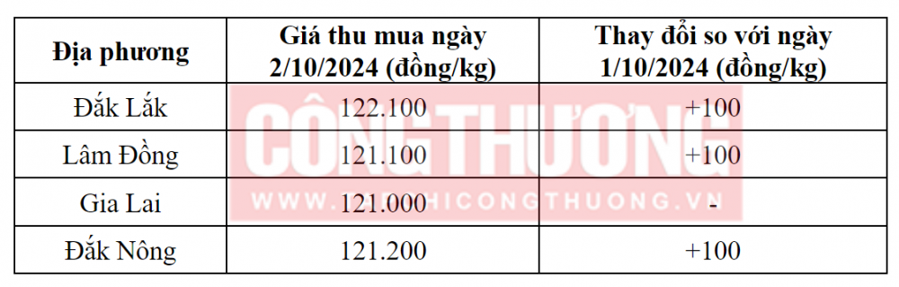 Tham khảo giá cà phê hôm nay ngày 2/10/2024 tại khu vực Tây Nguyên