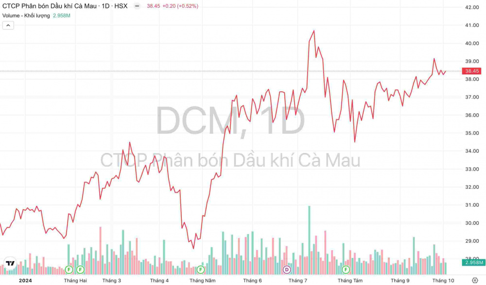 Giá cổ phiếu DCM Đạm Cà Mau