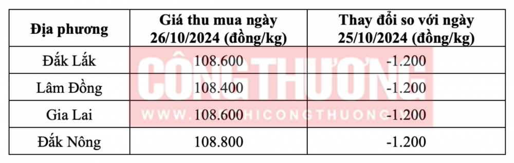 Tham khảo giá cà phê hôm nay ngày 26/10/2024 tại khu vực Tây Nguyên