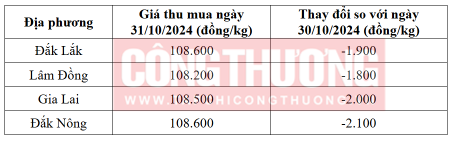 Tham khảo giá cà phê hôm nay ngày 31/10/2024 tại khu vực Tây Nguyên