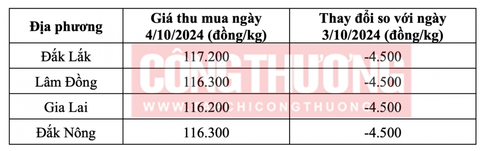 Tham khảo giá cà phê hôm nay ngày 4/10/2024 tại khu vực Tây Nguyên
