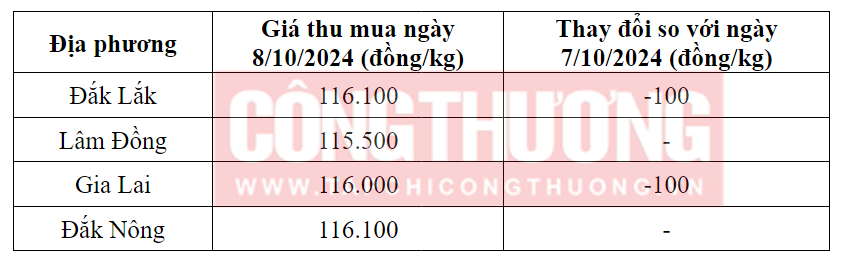 Tham khảo giá cà phê hôm nay ngày 8/10/2024 tại khu vực Tây Nguyên