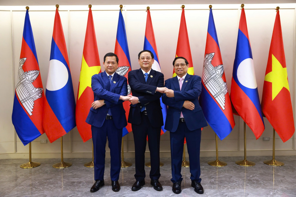 hợp tác 
