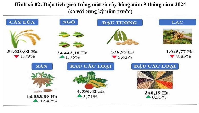 Điện Biên