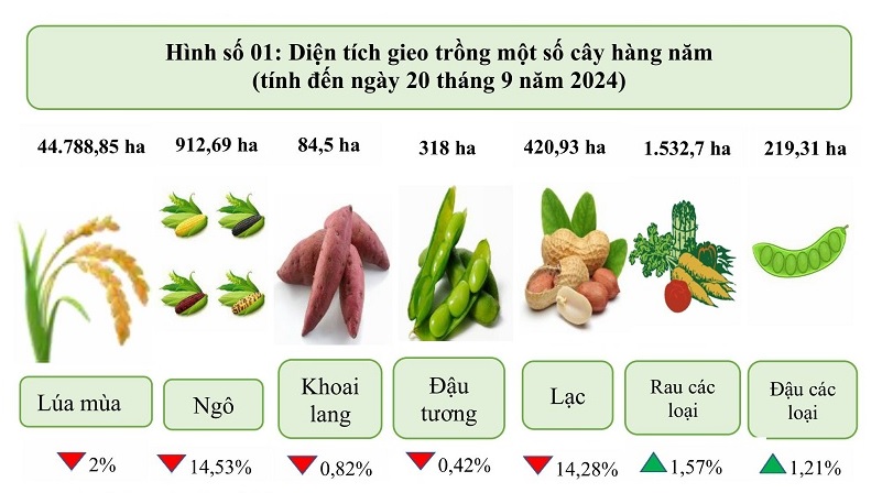 Điện Biên