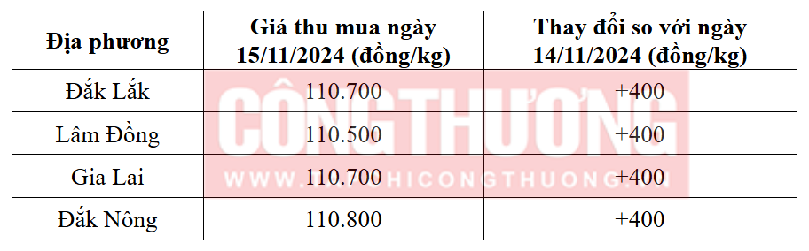 Tham khảo giá cà phê hôm nay ngày 15/11/2024 tại khu vực Tây Nguyên