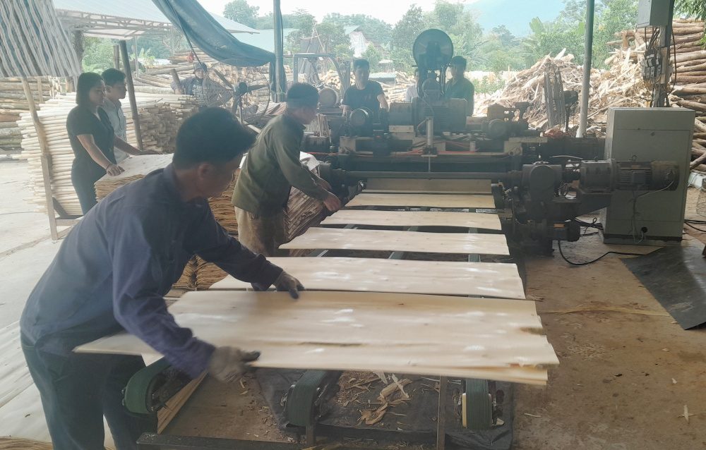 Công ty TNHH Thịnh Phát Vũ Linh