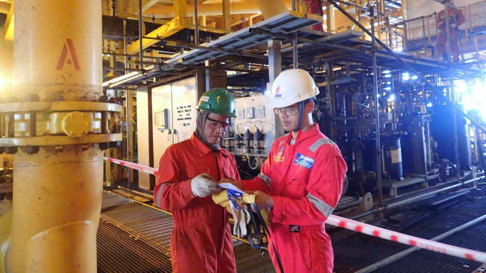 Petrovietnam