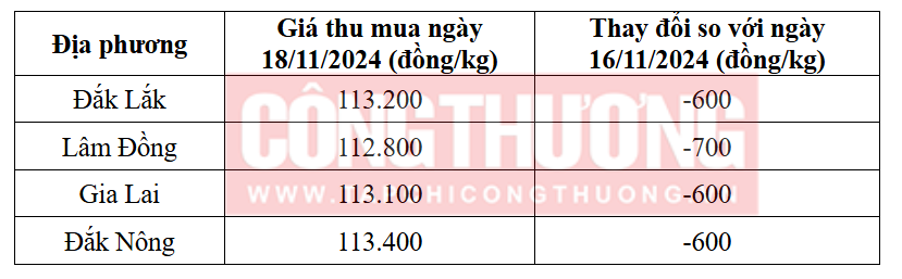 Tham khảo giá cà phê hôm nay ngày 18/11/2024 tại khu vực Tây Nguyên