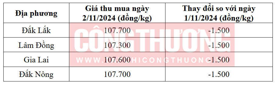 Tham khảo giá cà phê hôm nay ngày 2/11/2024 tại khu vực Tây Nguyên
