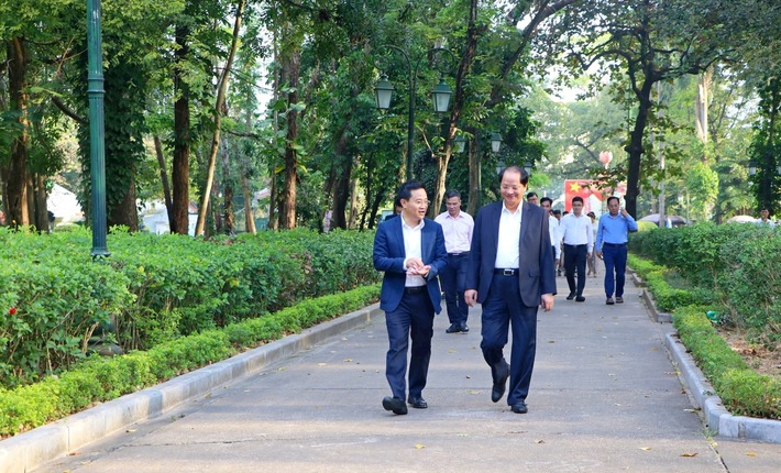 sơn tây