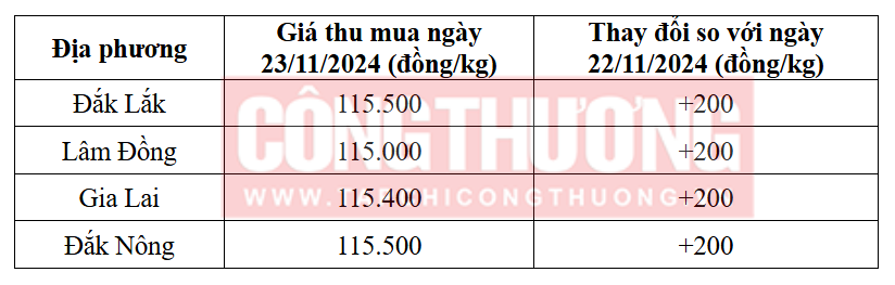 Tham khảo giá cà phê hôm nay ngày 23/11/2024 tại khu vực Tây Nguyên