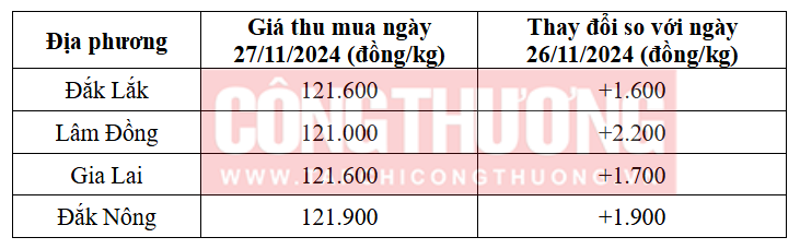 Tham khảo giá cà phê hôm nay ngày 27/11/2024 tại khu vực Tây Nguyên