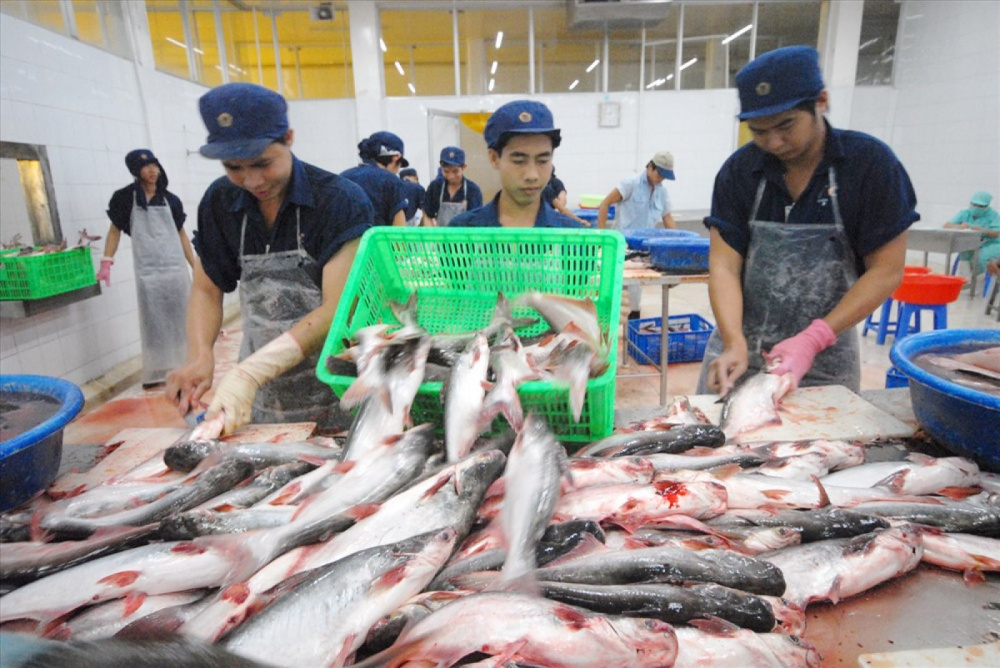 Đa Quốc Gia IDI