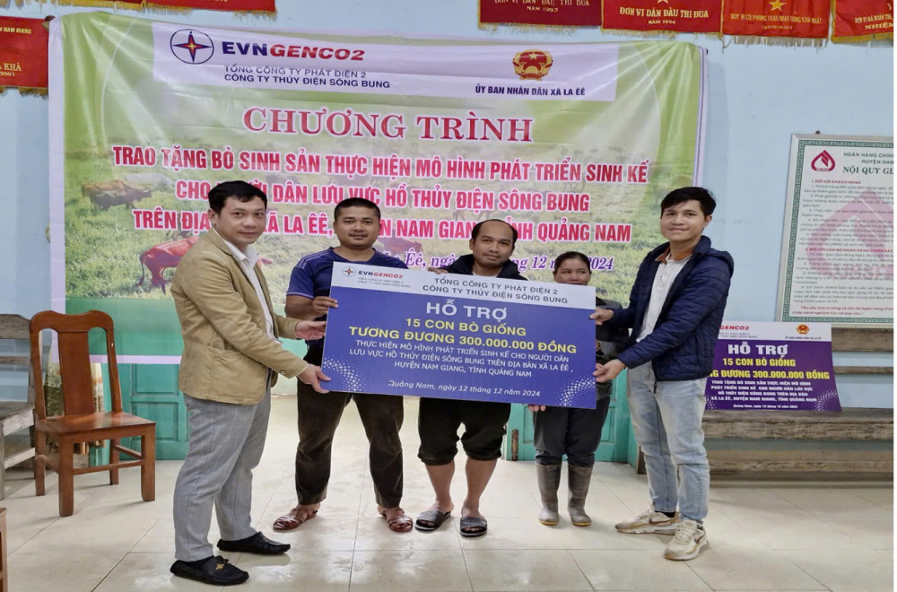 Công ty Thủy điện Sông Bung trao tặng bảng tượng trương 15 con bò giống cho hộ nghèo xã La Êê