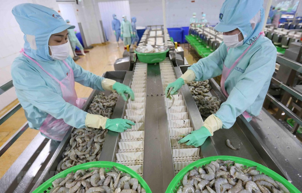 Vụ việc Hoa Kỳ tiến hành điều tra với tôm nước ấm của Việt Nam là một trong những vụ việc điển hình nhất cho xu hướng điều tra kép chống bán phá giá/chống trợ cấp năm 2024