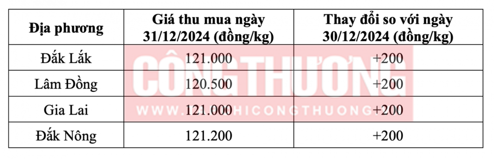 Tham khảo giá cà phê hôm nay ngày 31/12/2024 tại khu vực Tây Nguyên