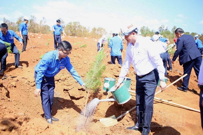 Sau lễ phát động, toàn Công ty Nhôm Đắk Nông - TKV đã trồng hơn 570 cây xanh quanh Nhà máy Tuyển