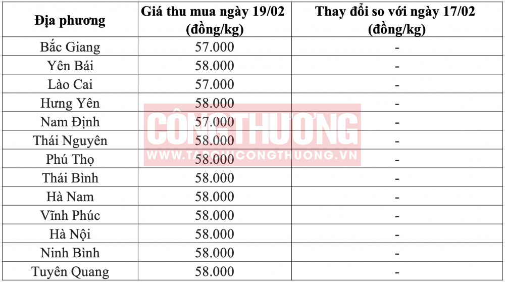 Giá heo hơi hôm nay tại miền Bắc CWIN ✅ Nhà cái cờ bạc trực tuyến tốt nhất và Thương hiệu uy tín