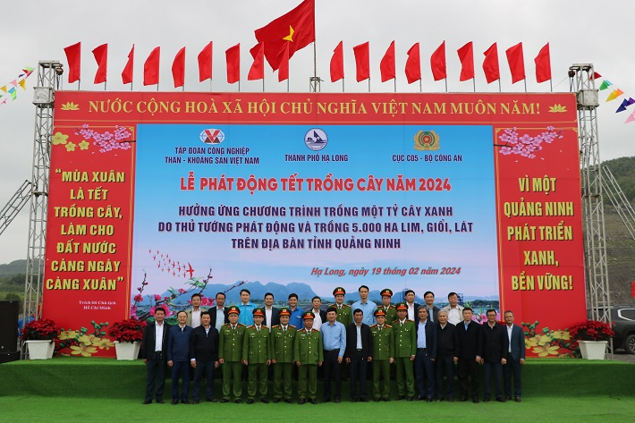 tet trong cay