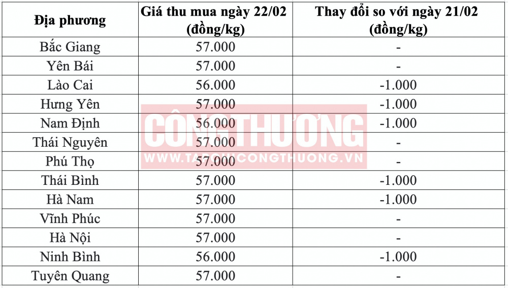Giá heo hơi hôm nay tại miền Bắc CWIN ✅ Nhà cái cờ bạc trực tuyến tốt nhất và Thương hiệu uy tín