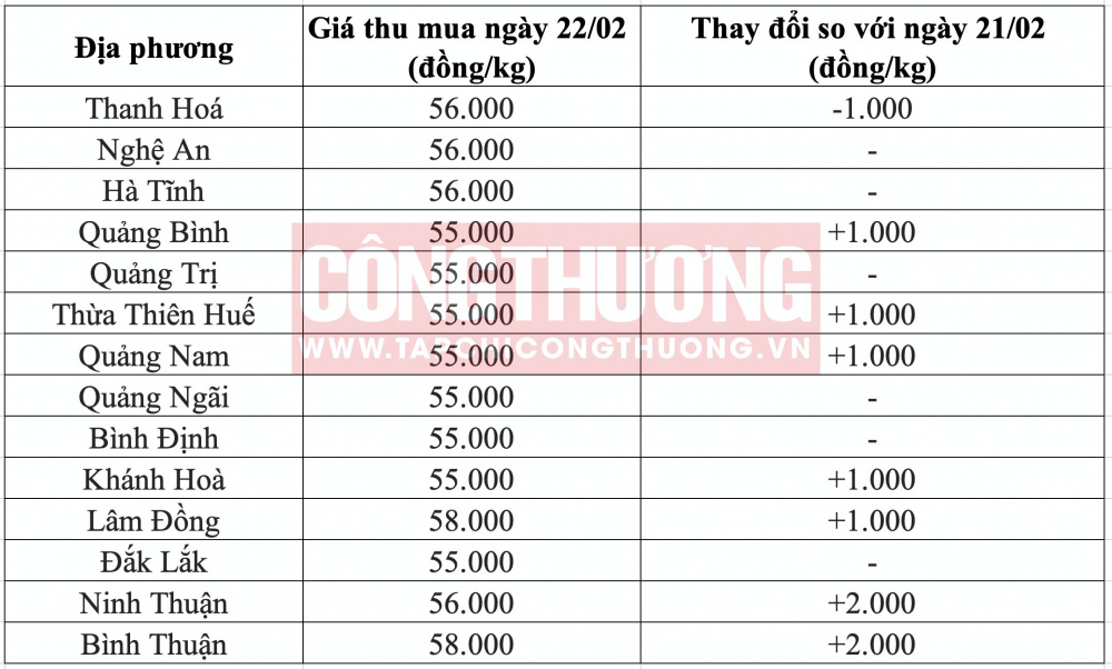 Giá heo hơi hôm nay tại miền Trung CWIN ✅ Nhà cái cờ bạc trực tuyến tốt nhất và Thương hiệu uy tín