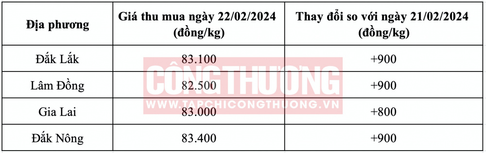 Giá cà phê hôm nay