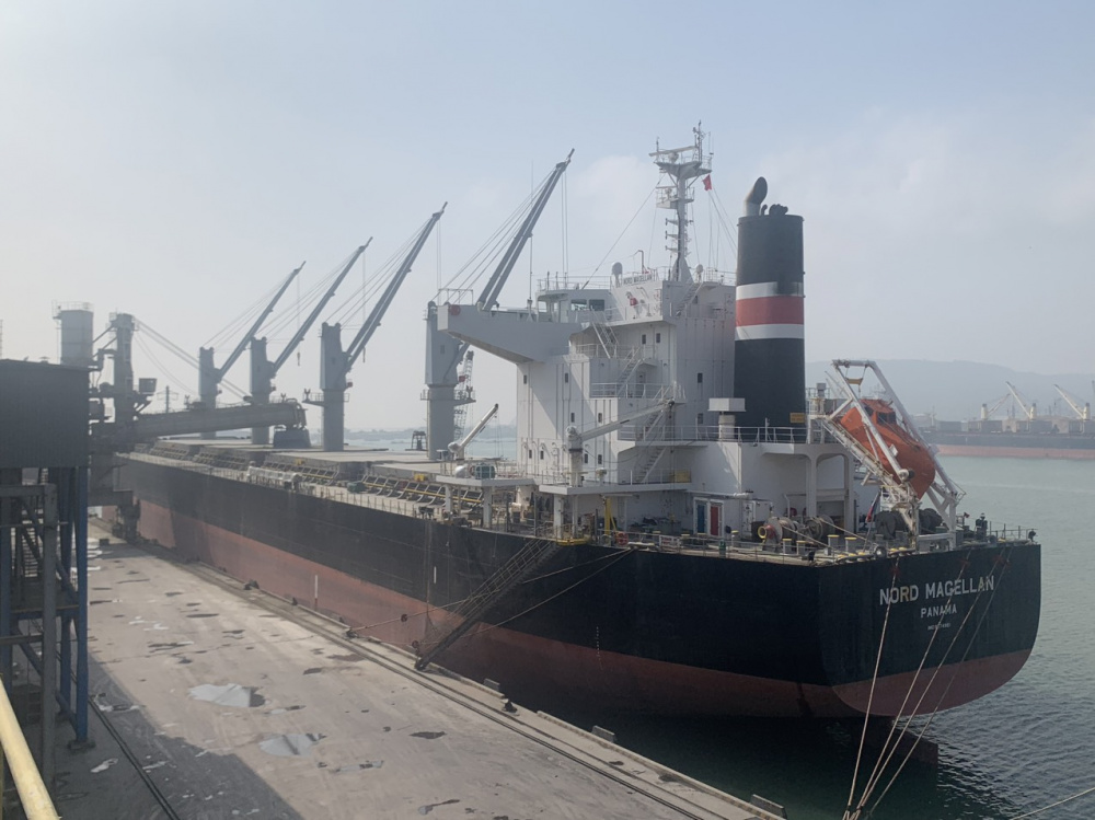 Tàu MV NORD MAGELLAN cập cảng Tổng hợp Long Sơn Bãi Ngọc ngày 13/01/2024, Cwin Đăng Ký + 1888k xi măng Long Sơn đi Mỹ
