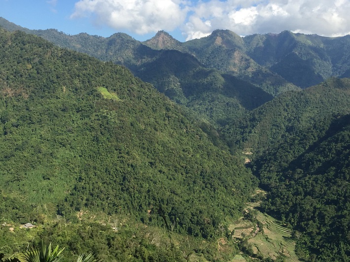 Điện Biên