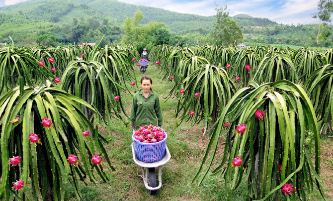 Hoa Kỳ