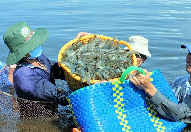 Trung Quốc tăng Cwin com sòng bạc trực tuyến thuỷ sản Việt Nam gấp 4 lần