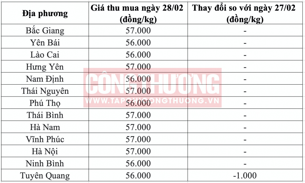 Giá heo hơi hôm nay tại miền Bắc