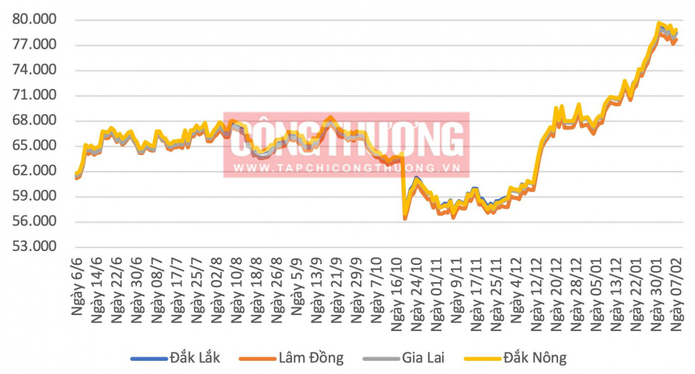 Xu hướng giá cà phê tại một số địa phương trong nước từ tháng 6/2023 đến nay (đơn vị tính: đồng/kg)