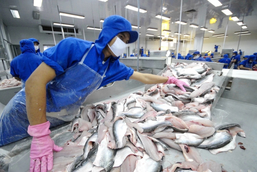Cwin com sòng bạc trực tuyến cá tra