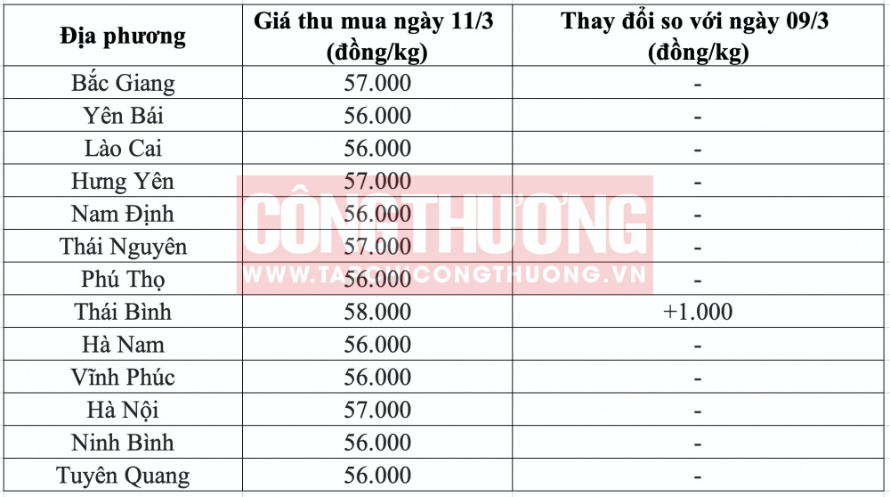 Giá heo hơi hôm nay tại miền Bắc CWIN ✅ Nhà cái cờ bạc trực tuyến tốt nhất và Thương hiệu uy tín
