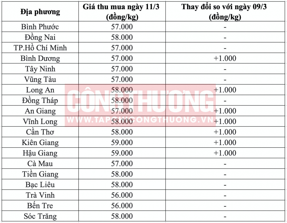 Giá heo hơi hôm nay tại miền Nam CWIN ✅ Nhà cái cờ bạc trực tuyến tốt nhất và Thương hiệu uy tín