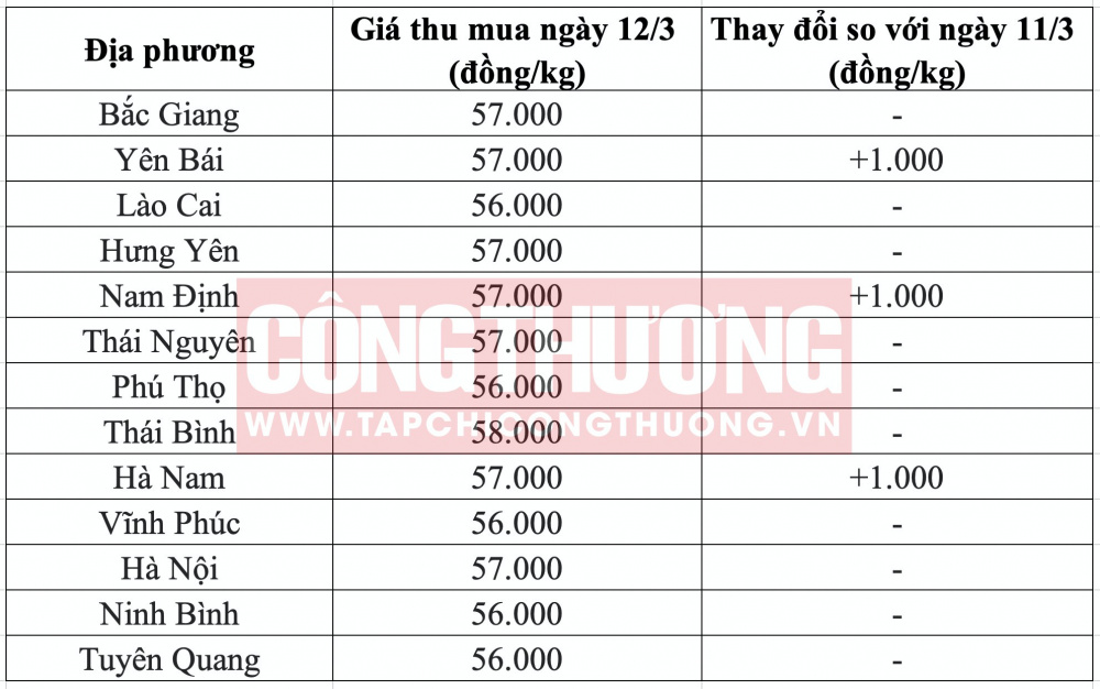 Giá heo hơi hôm nay tại miền Bắc CWIN ✅ Nhà cái cờ bạc trực tuyến tốt nhất và Thương hiệu uy tín