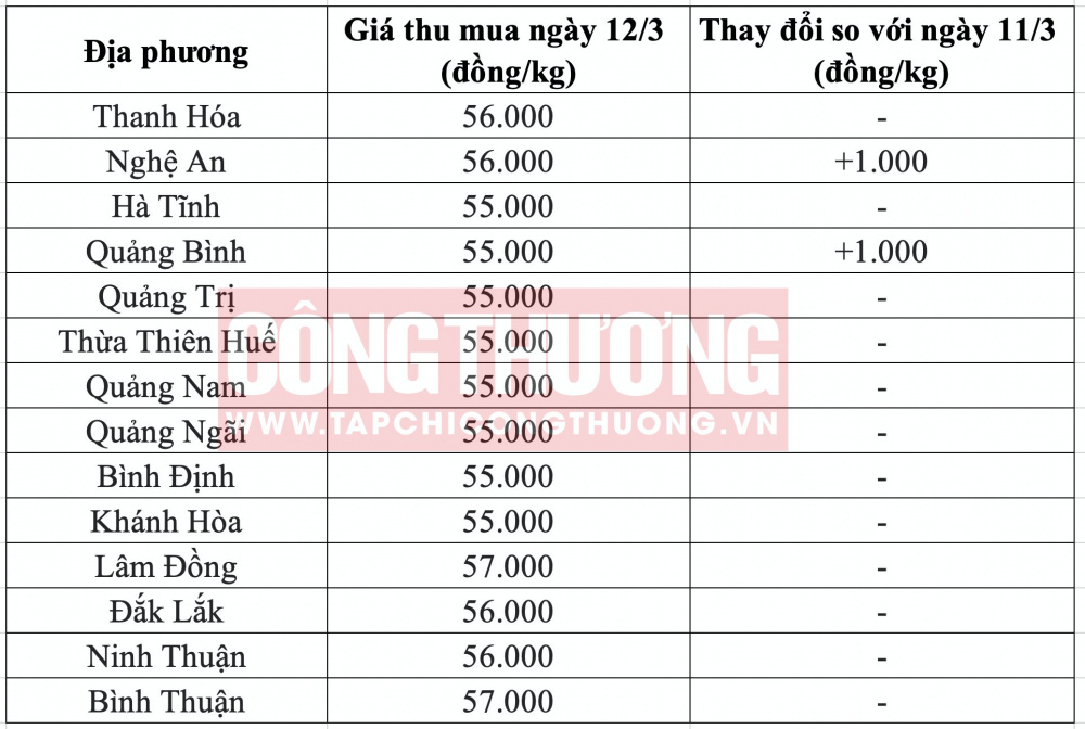 Giá heo hơi hôm nay tại miền Trung CWIN ✅ Nhà cái cờ bạc trực tuyến tốt nhất và Thương hiệu uy tín