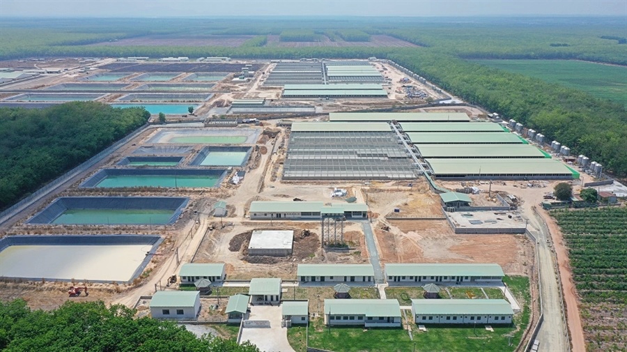 BAF Việt Nam
