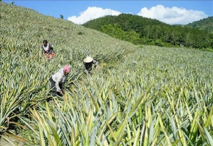 Điện Biên