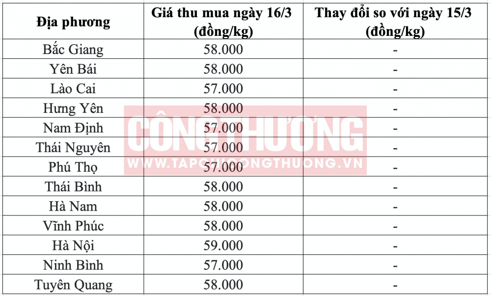 Giá heo hơi hôm nay tại miền Bắc 