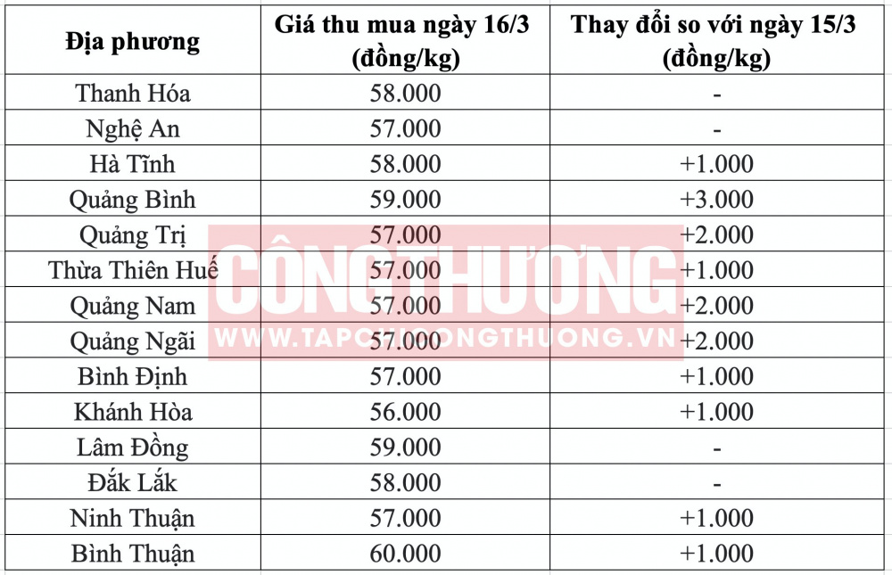 Giá heo hơi hôm nay tại miền Trung CWIN ✅ Nhà cái cờ bạc trực tuyến tốt nhất và Thương hiệu uy tín