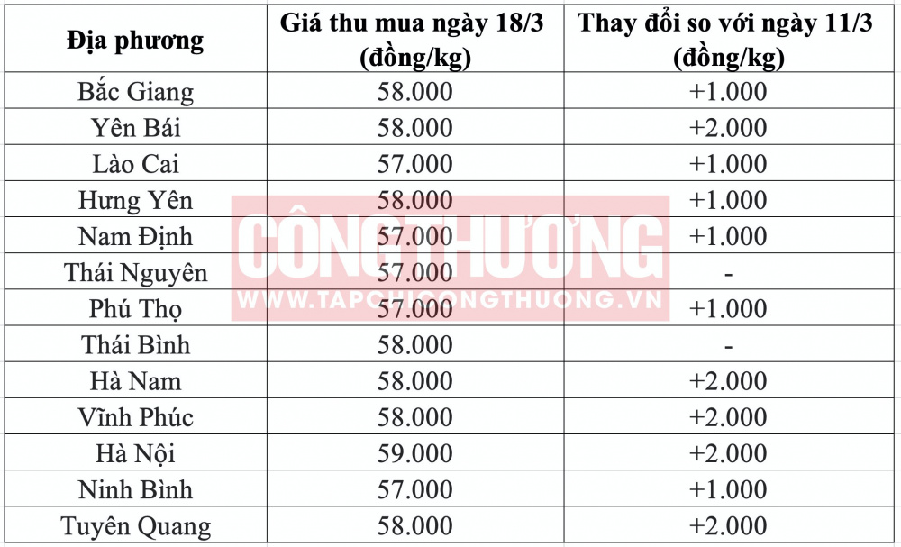Giá heo hơi hôm nay tại miền Bắc CWIN ✅ Nhà cái cờ bạc trực tuyến tốt nhất và Thương hiệu uy tín