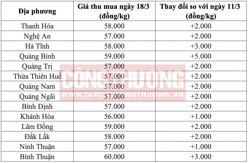 Giá heo hơi hôm nay tại miền Trung CWIN ✅ Nhà cái cờ bạc trực tuyến tốt nhất và Thương hiệu uy tín