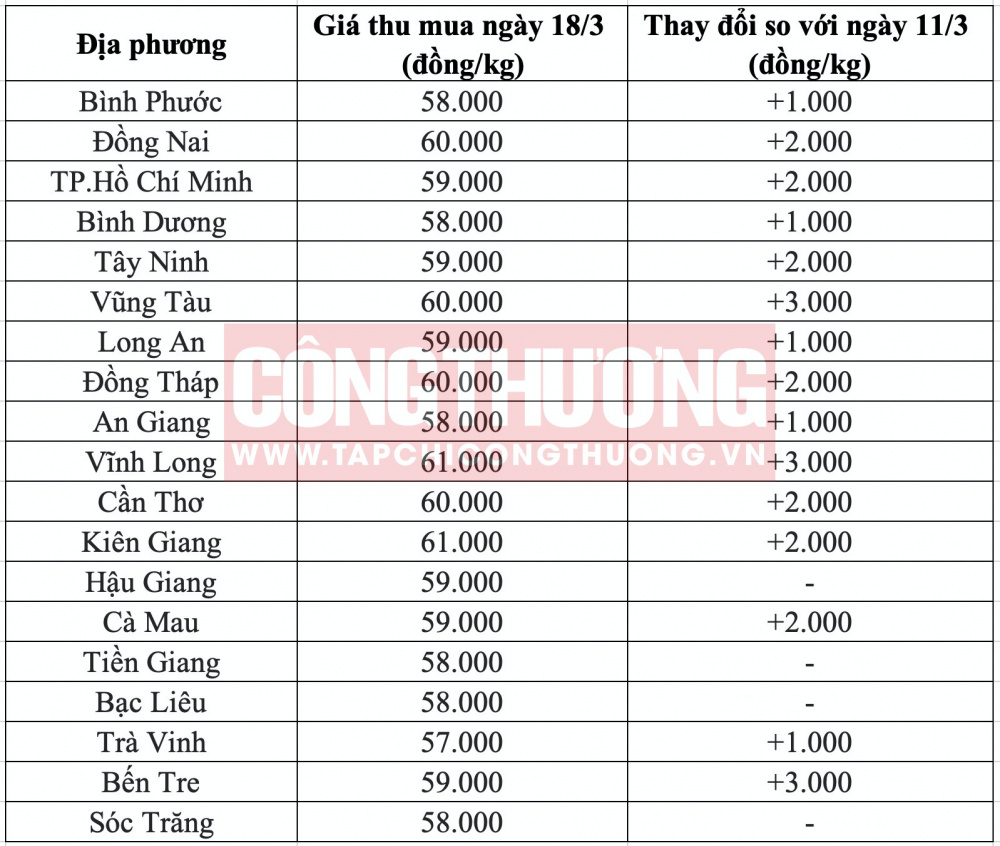 Giá heo hơi hôm nay tại miền Nam CWIN ✅ Nhà cái cờ bạc trực tuyến tốt nhất và Thương hiệu uy tín