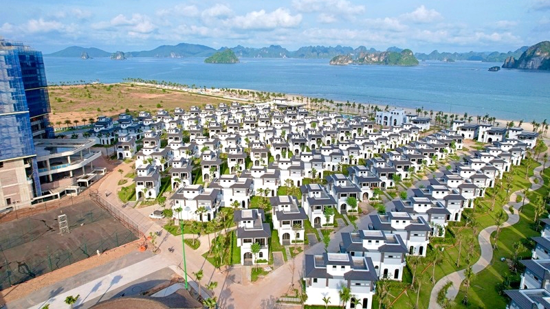 Tập đoàn CEO