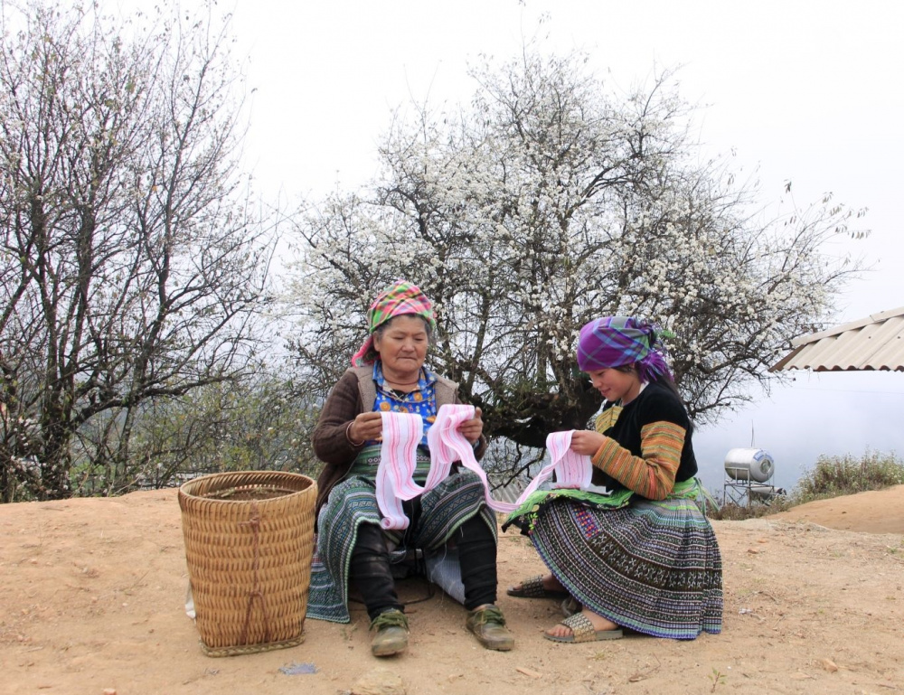 hoa sơn tra
