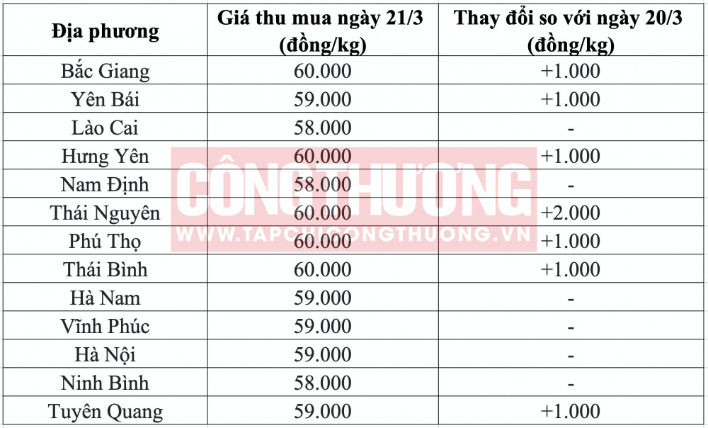 Giá heo hơi hôm nay tại miền Bắc