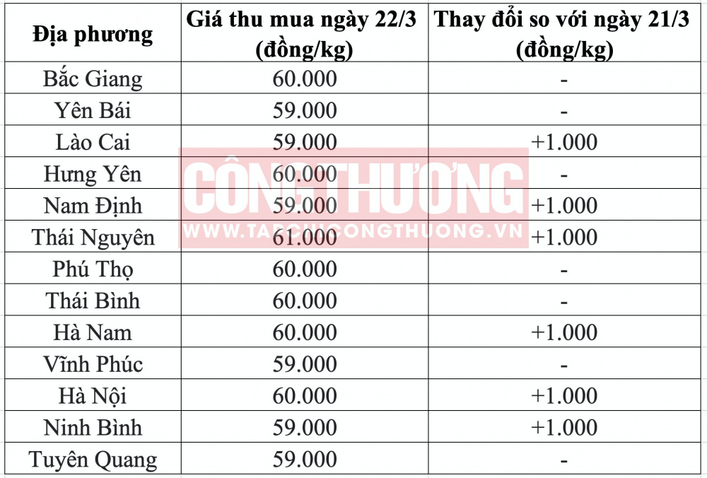 Giá heo hơi hôm nay tại miền Bắc